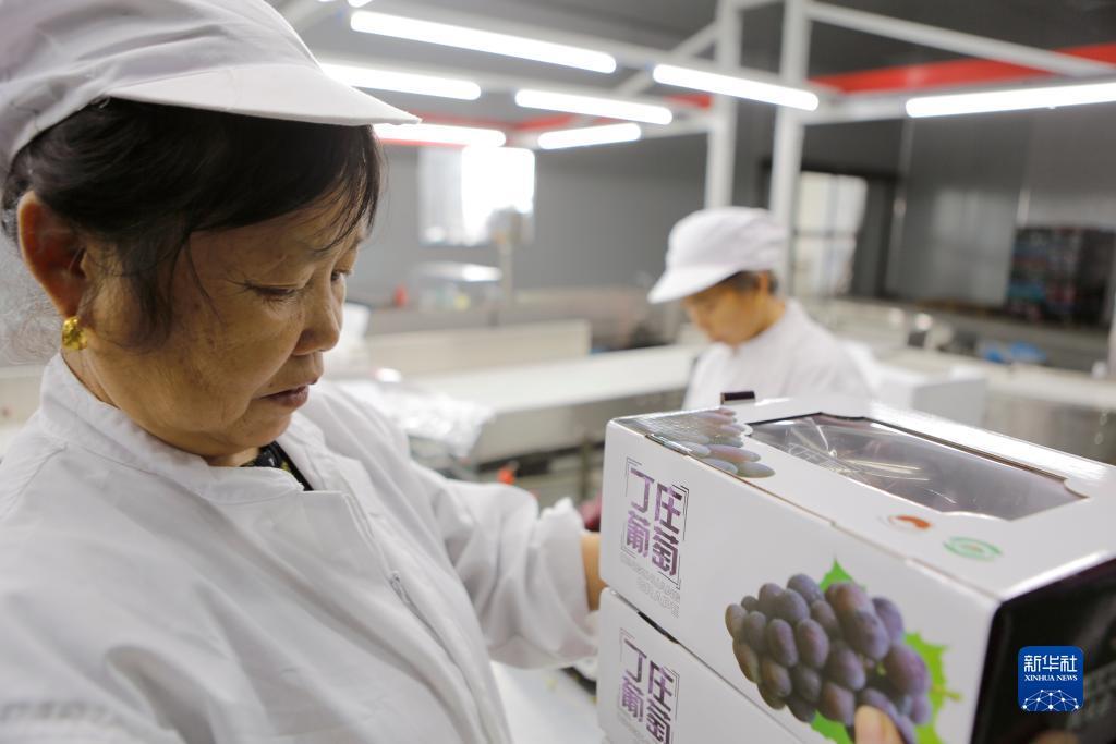 卡五星充钱可以提现的app
